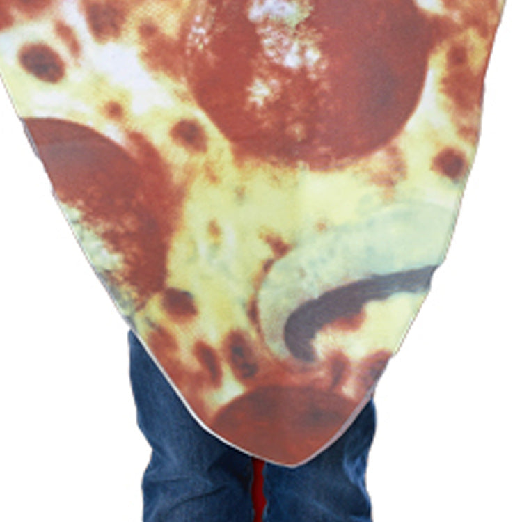 Cross-border Supply Carnival Halloween cosplay Masquerade Stage Costume Adult Delicious Pizza Costume