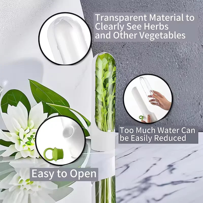 Herb Saver Storage Container Fresh Herb Keeper Vanilla Vegetables