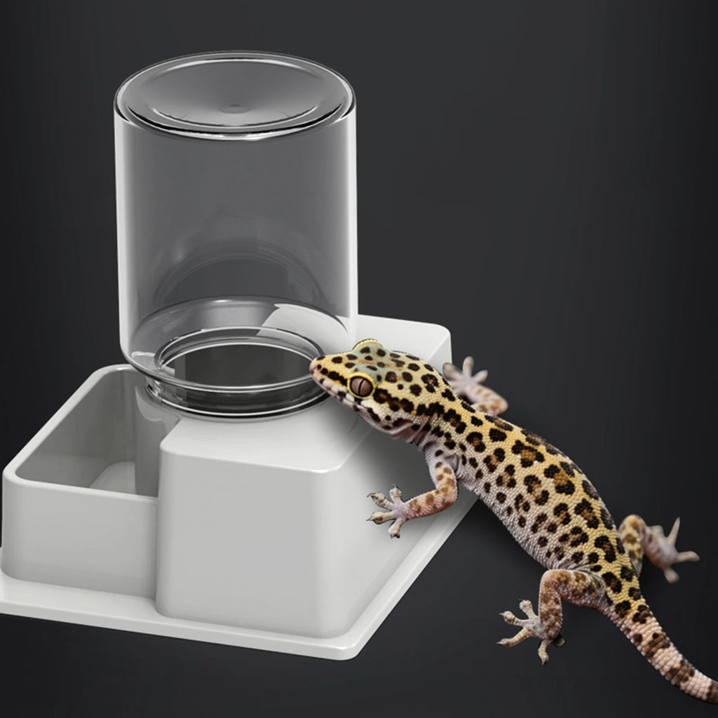 Automatic Reptile Water Dish Reusable Container Creative Feeder Station Ornament Drinking Tool for Snakes Tortoise Geckos