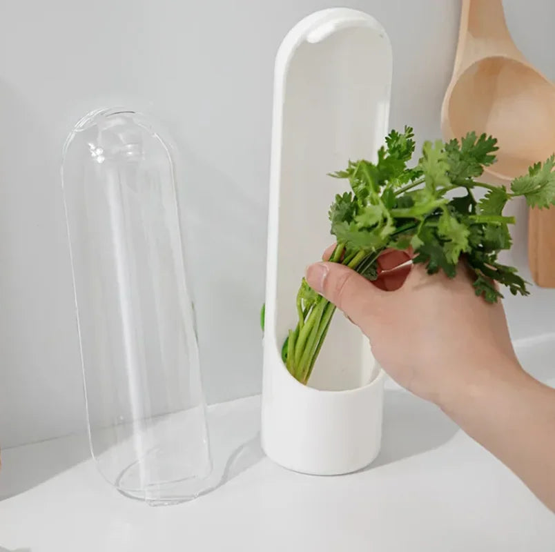 Herb Saver Storage Container Fresh Herb Keeper Vanilla Vegetables