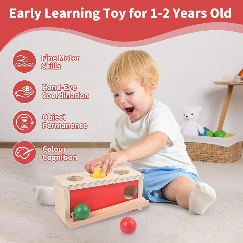 Montessori Toys Object Permanence Box