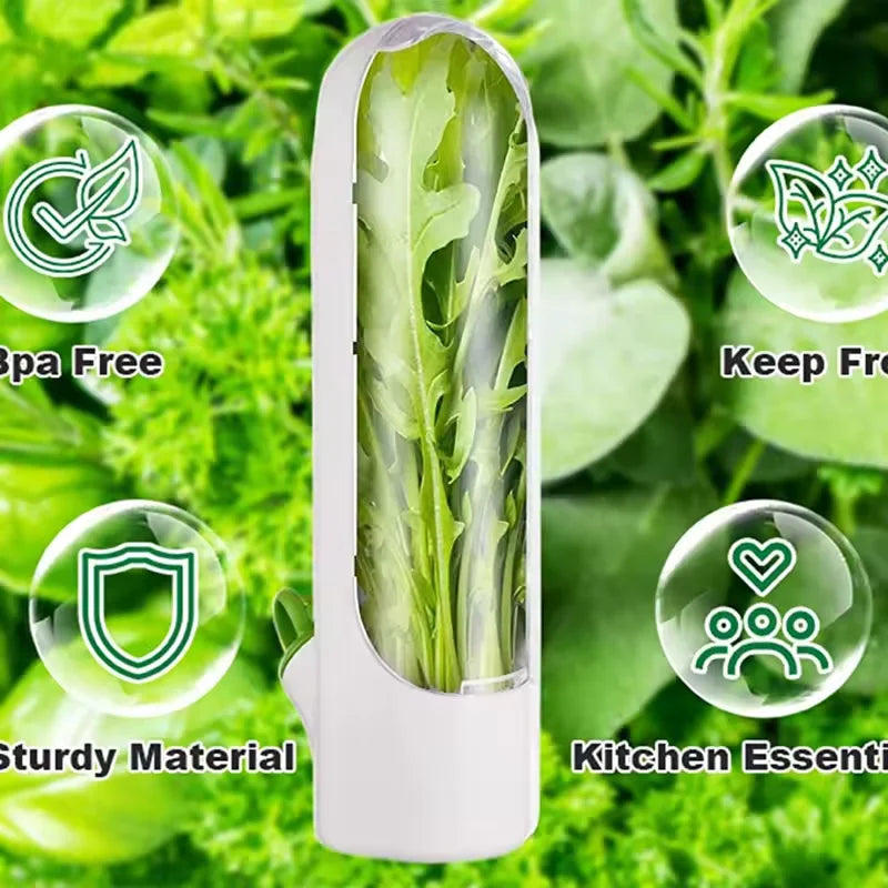 Herb Saver Storage Container Fresh Herb Keeper Vanilla Vegetables