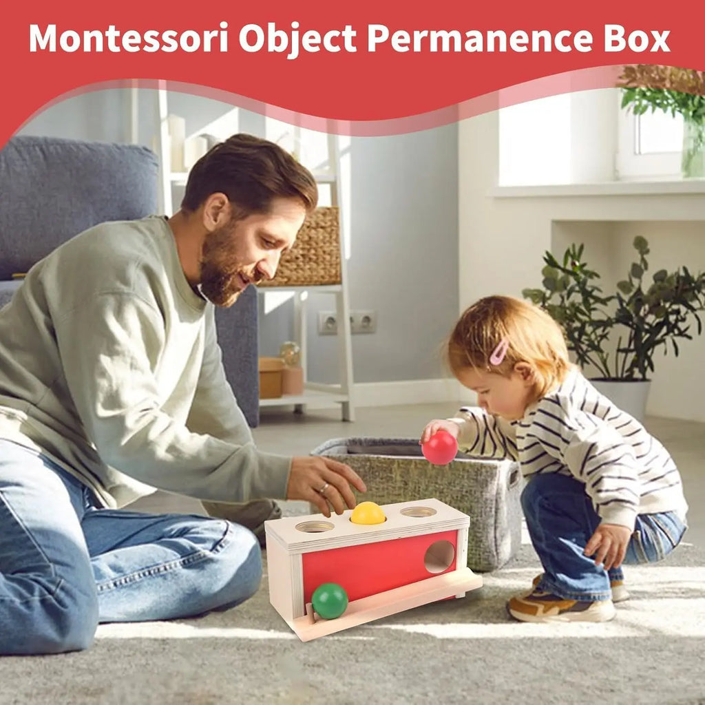 Montessori Toys Object Permanence Box