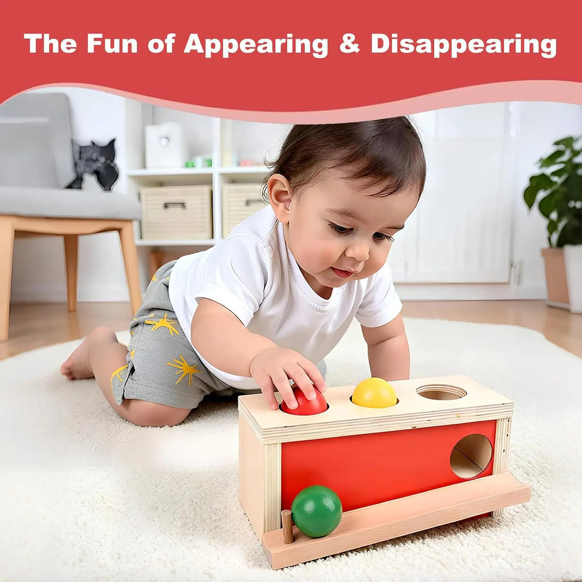 Montessori Toys Object Permanence Box