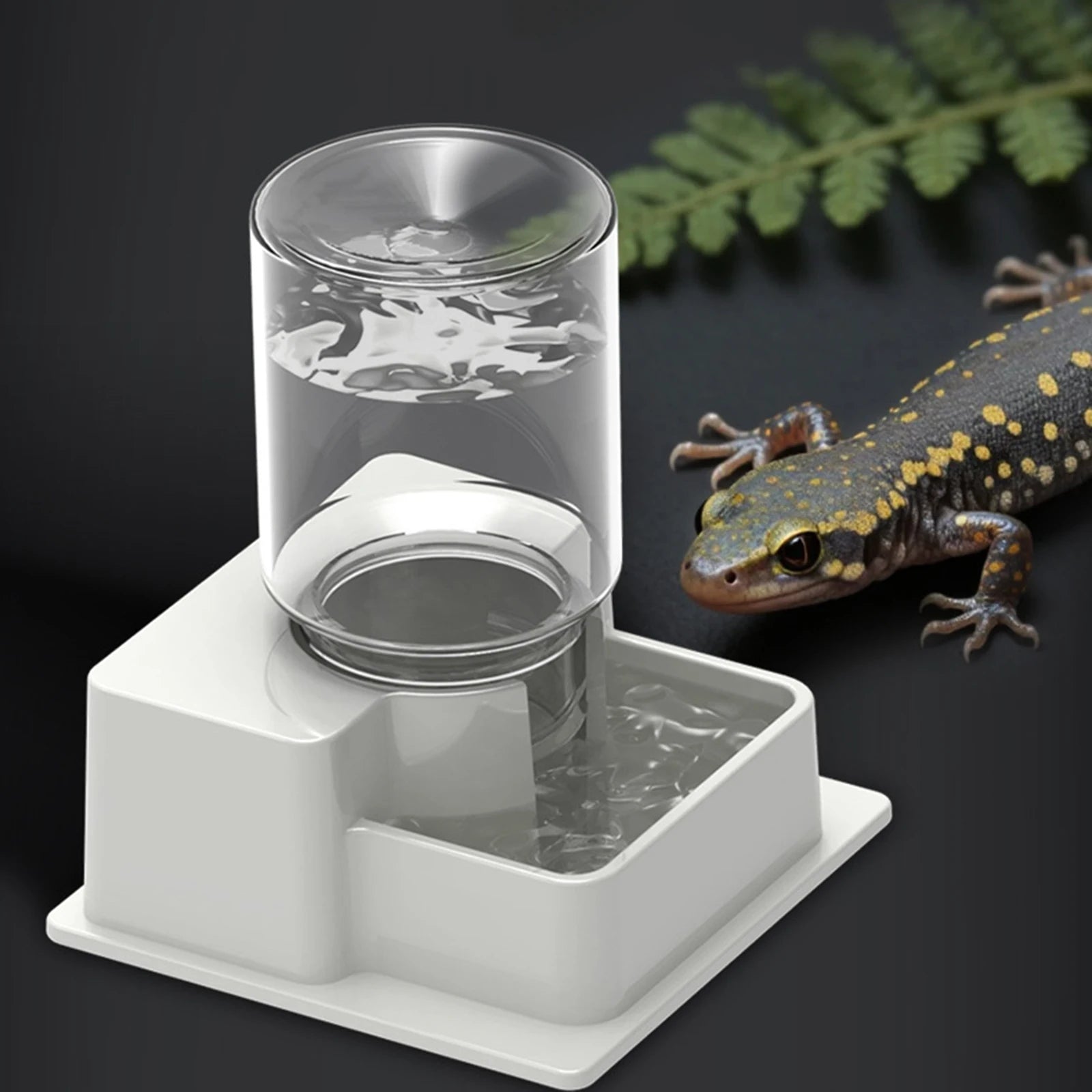 Automatic Reptile Water Dish Reusable Container Creative Feeder Station Ornament Drinking Tool for Snakes Tortoise Geckos