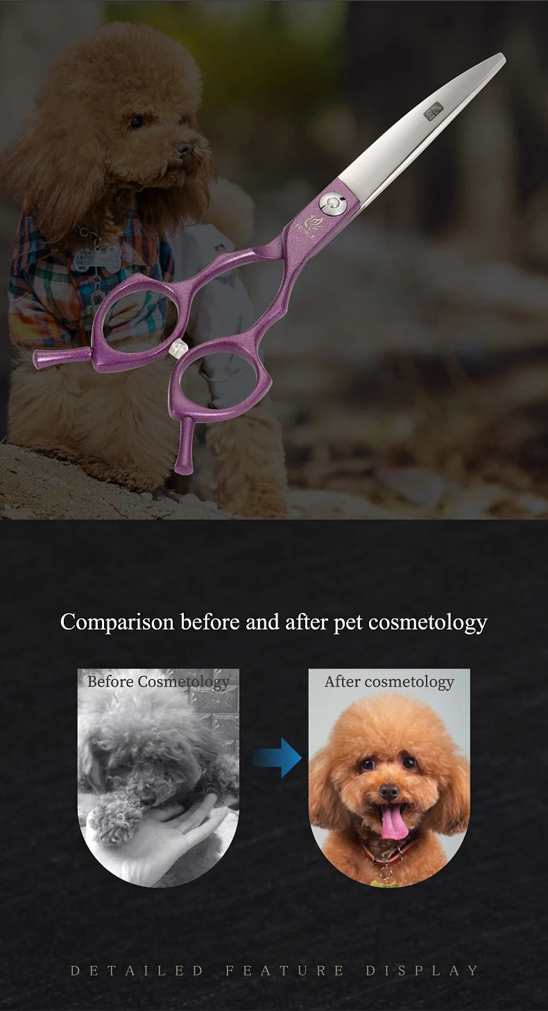Fenice Professional symetrical handle colorful 6.5 inch pet dog curved animal grooming scissors