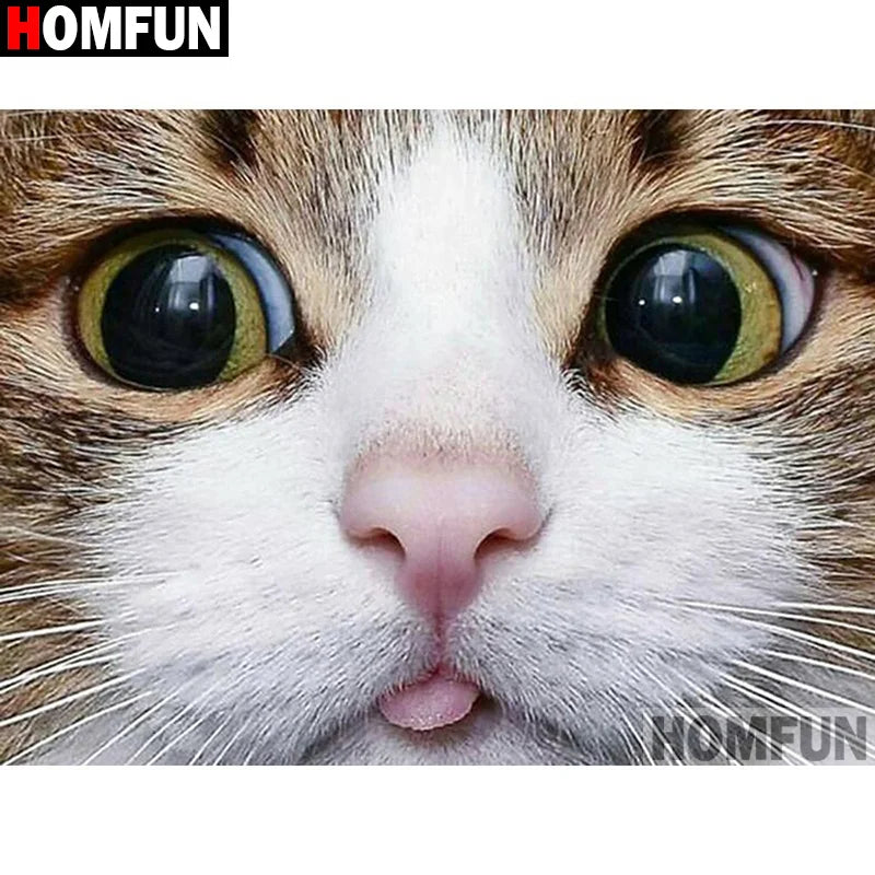HOMFUN Full Square/Round Drill 5D DIY Diamond Painting "Animal cat" 3D Diamond Embroidery Cross Stitch Home Decor A19841