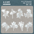 Retrostory Flower Dyeing Series Pet Sticker Pack 16 Pieces into Retro Flower Handbook DIY Material Decorative Stickers