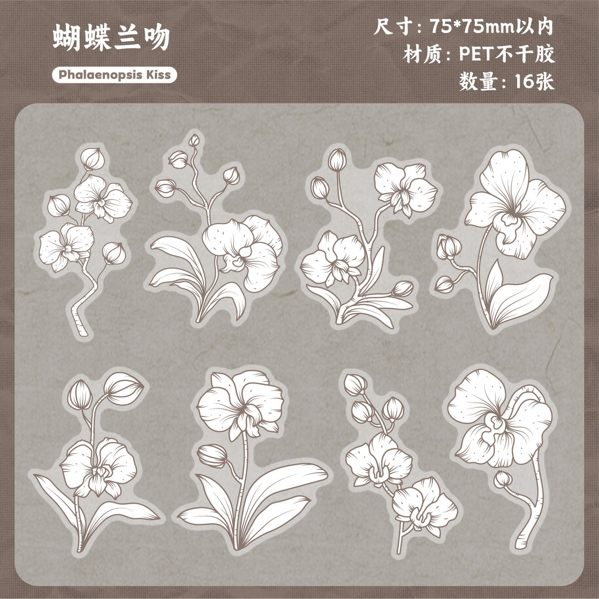 Retrostory Flower Dyeing Series Pet Sticker Pack 16 Pieces into Retro Flower Handbook DIY Material Decorative Stickers