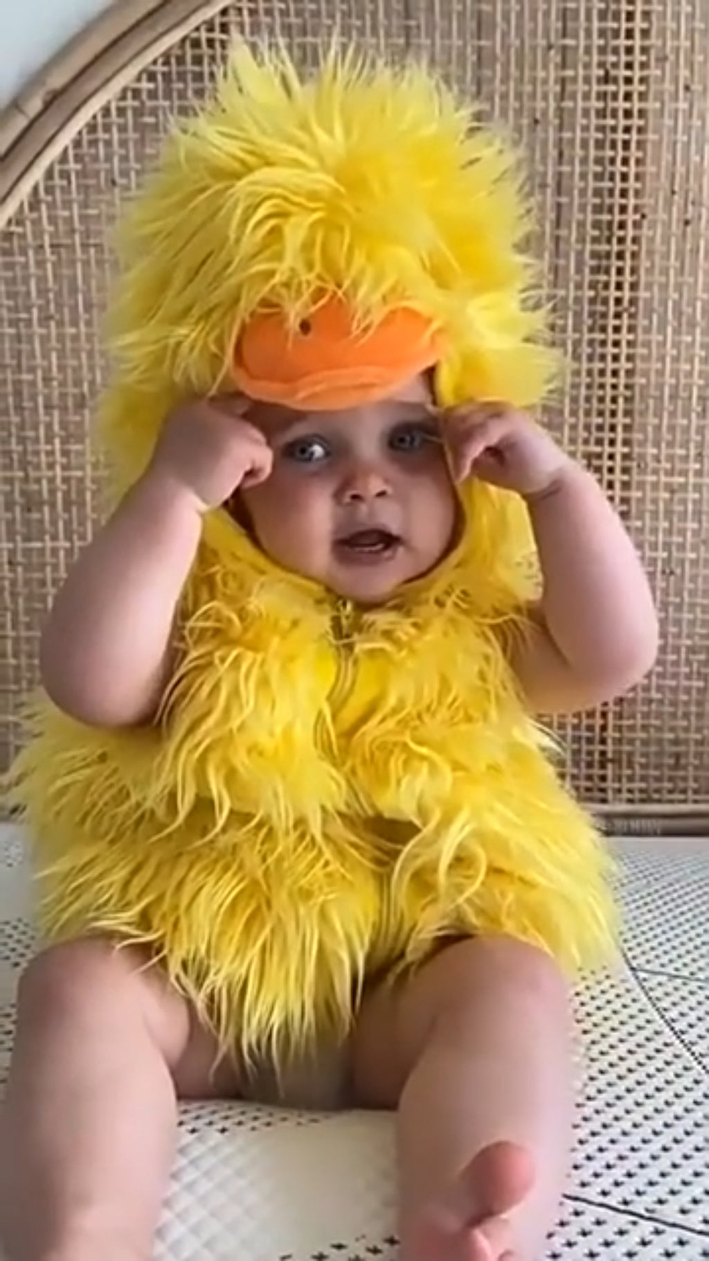 Foreign trade new Halloween animal costume cute little yellow duck children hooded vest cosplay costume