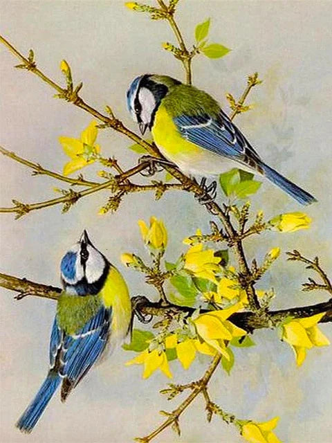 Huacan Diy Diamond Painting Animal Full Drill Embroidery Bird Home Decor Gift Rhinestone Pictures Craft Kit