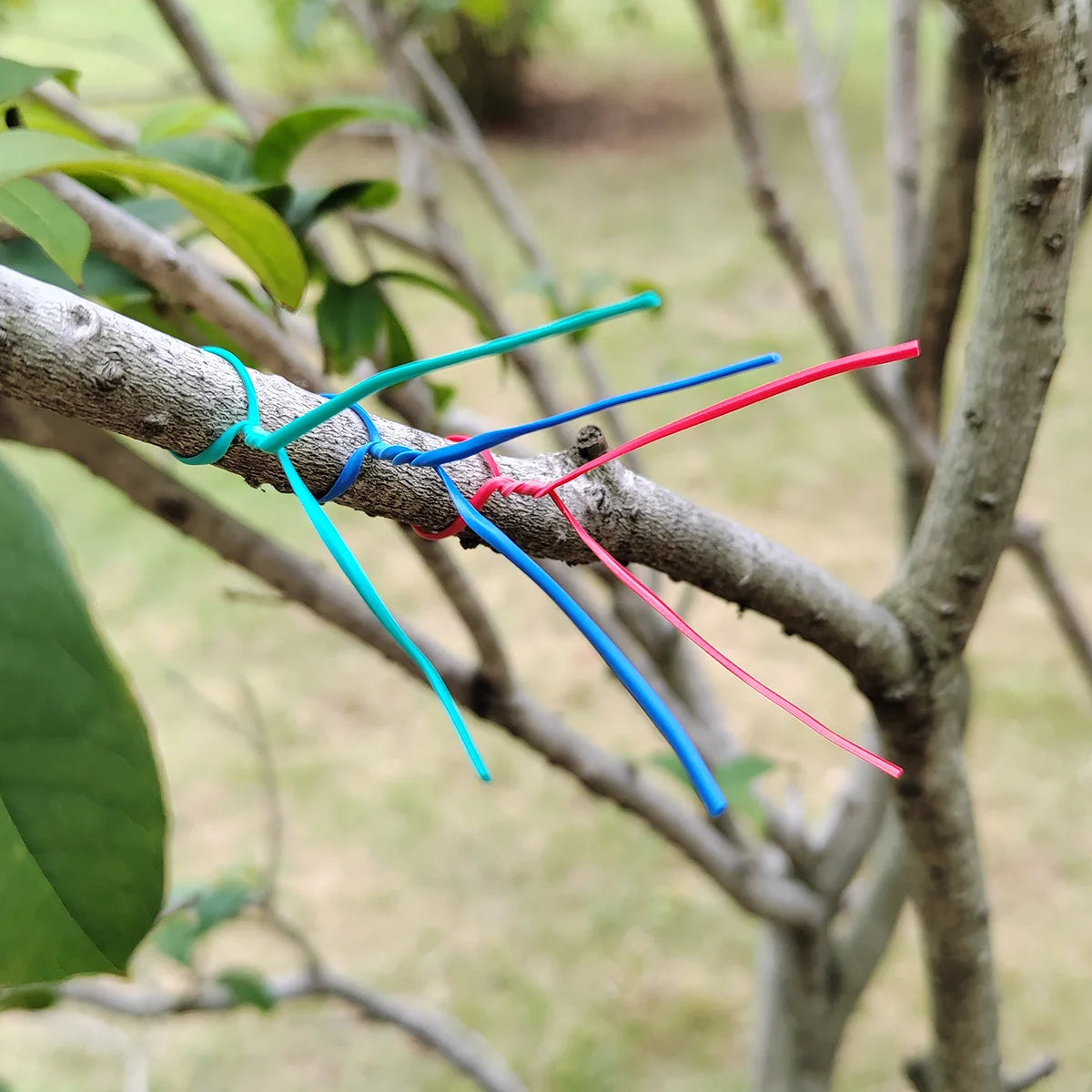 100PCS Gardening Cable Ties Reusable Oblate Iron Wire Twist Tie for Flower Plant Climbing Vines Multifunction Coated Fix Strings