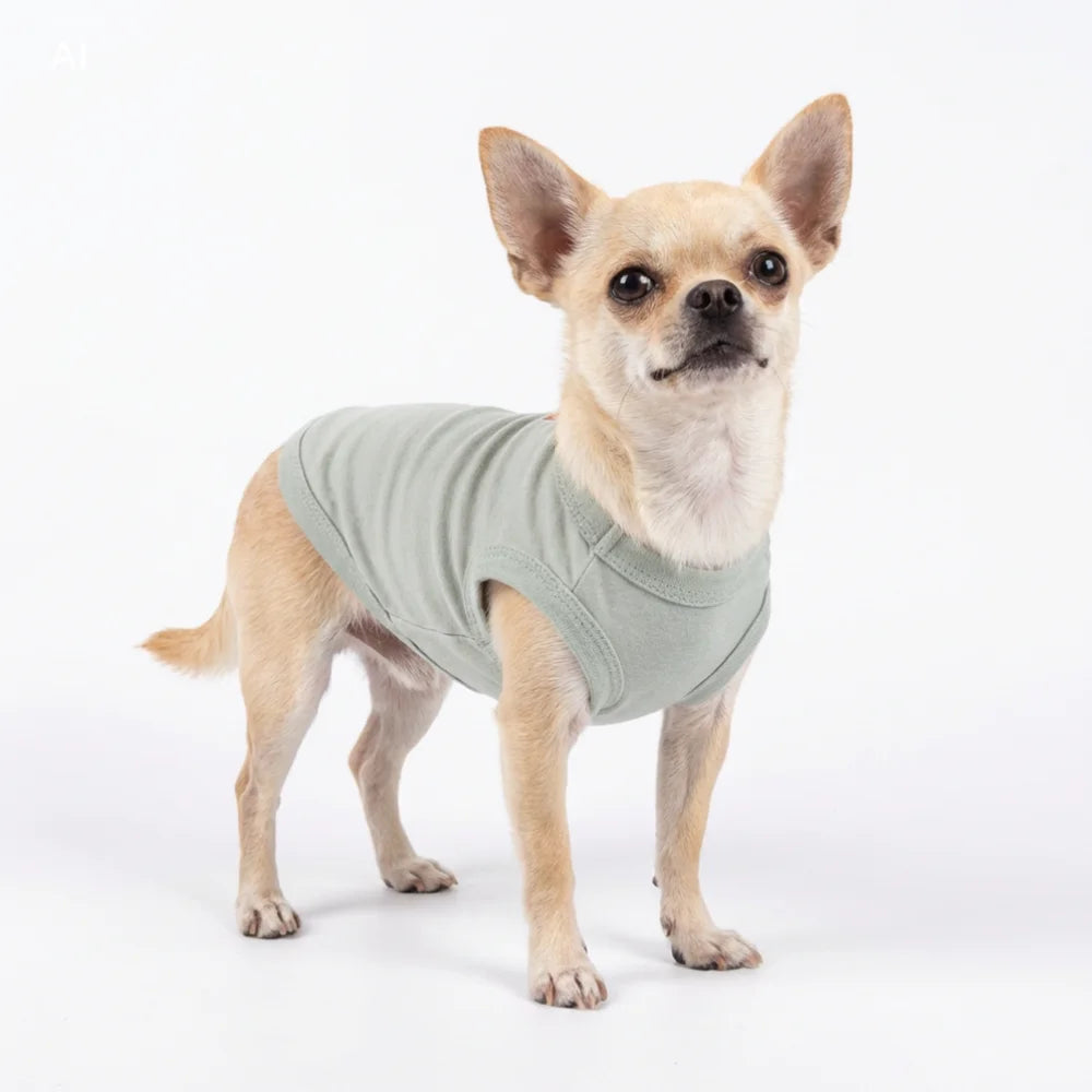 Soft Cotton Blank Dog Shirt