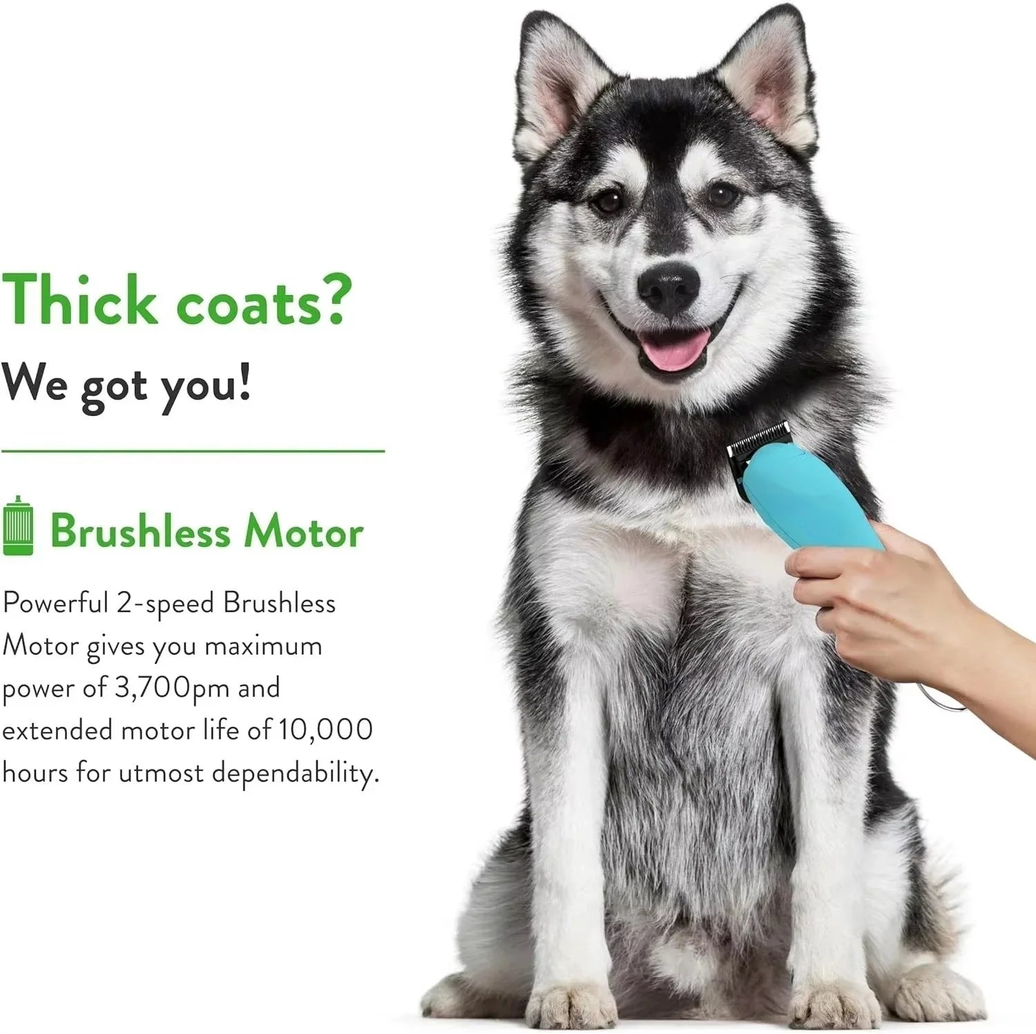 Professional Pet Dog Grooming Detachable Steel Blade Compatible with most Andis ,Oster A5 & 76,Wahl KM 10 Series Animal Clipper
