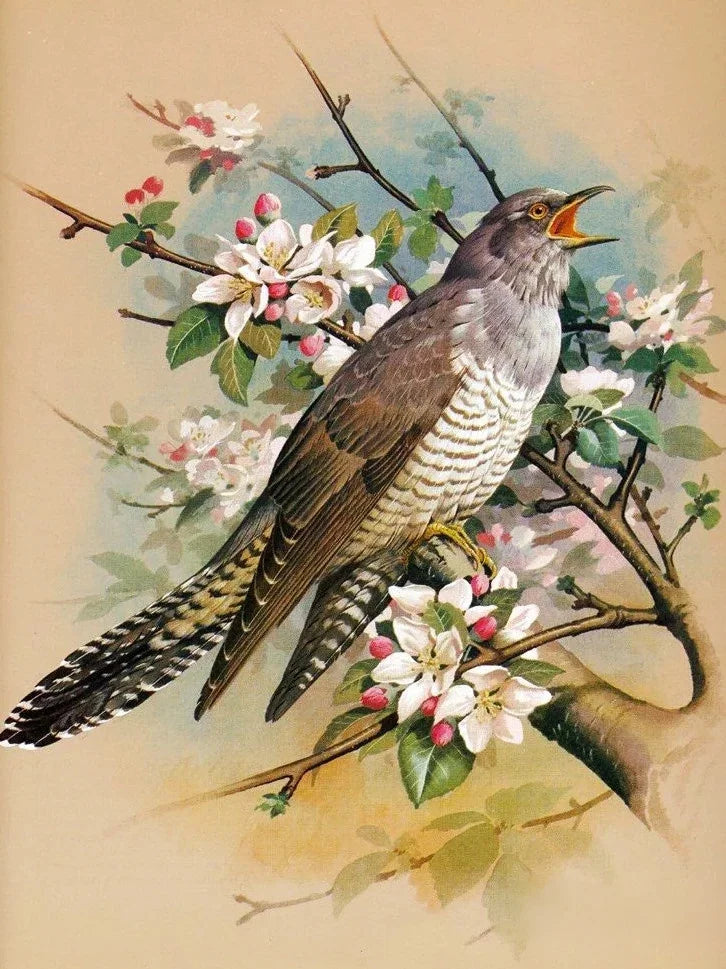 Huacan Diy Diamond Painting Animal Full Drill Embroidery Bird Home Decor Gift Rhinestone Pictures Craft Kit