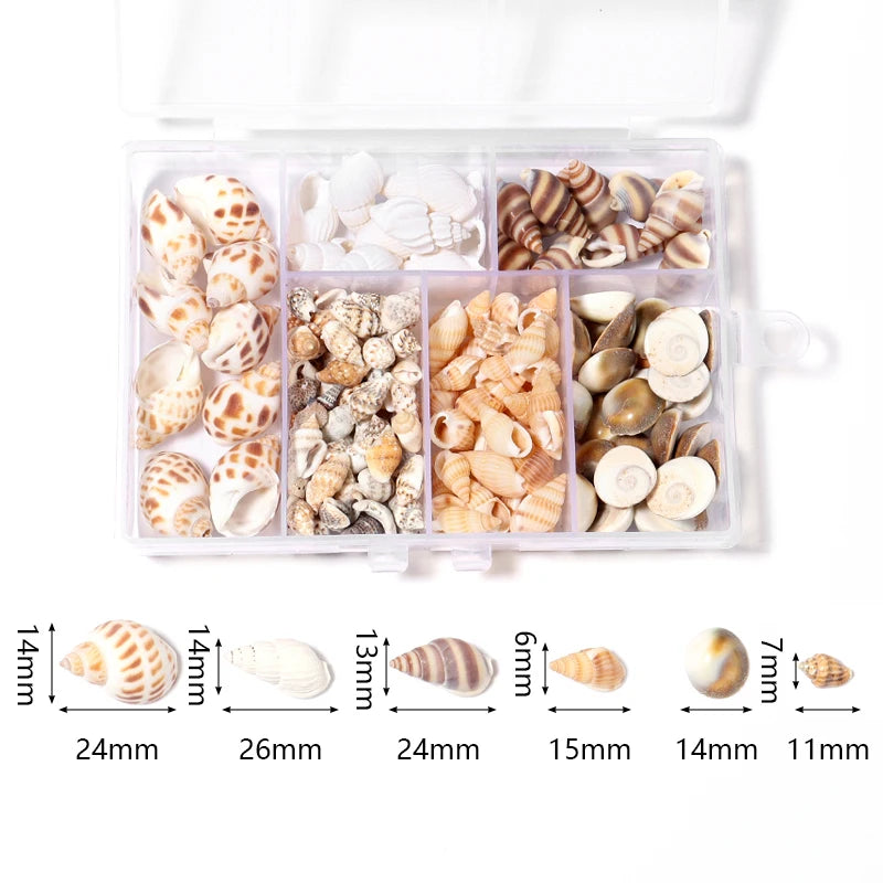 1 Box Sea Shell Spiral Shell Tiny Ocean Spiral Seashell Conch Crafts Aquarium Decoration Landscaping Accessory Photography Props