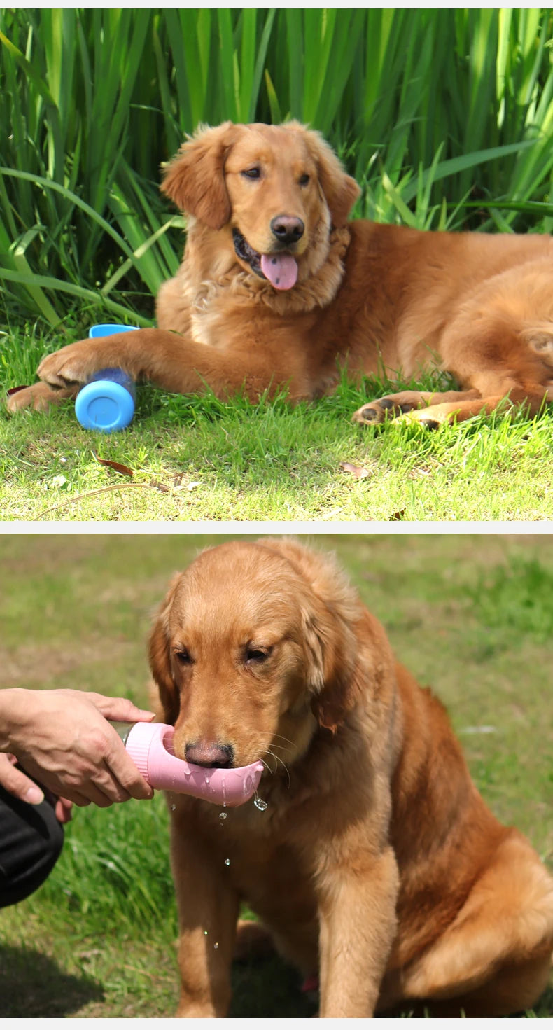 2In1 Portable Dog Water Bottle With Food Container For Small Large Dogs Cat Pet Outdoor Drinking Bowl Golden Retriever Supplies