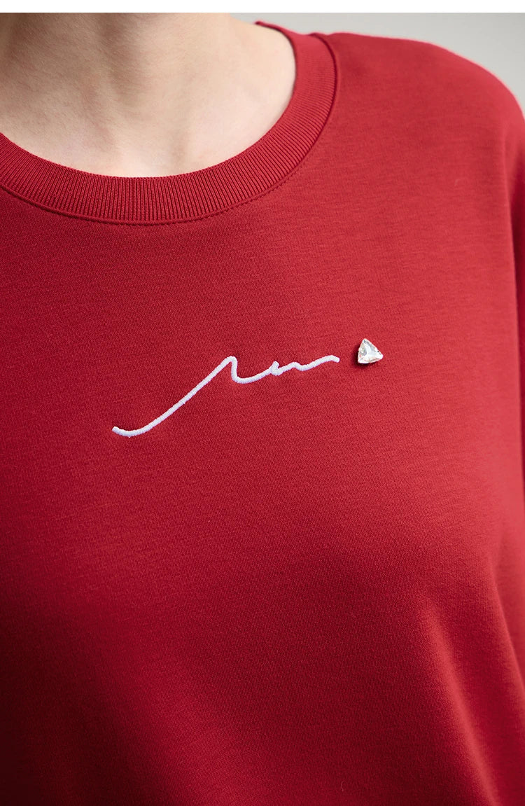 Amii Woman Sweatshirts 2025 Winter New Loose Warm Long Sleeve Female Sweatshirt Embroidery Pullover O-Neck Top Female 12524025
