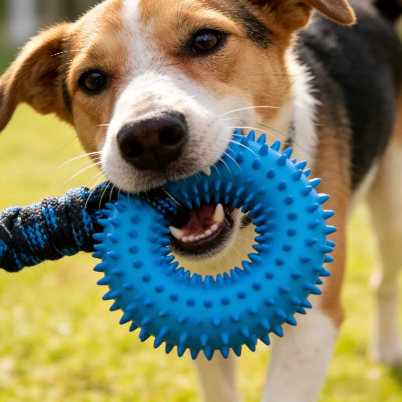 Spiked Ring & Rope Knot Tug Toy for Large Dogs: Interactive Chew for Golden Retrievers, Durable Pulling Game for Boredom Relief