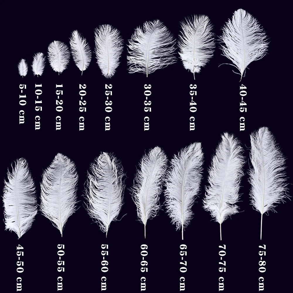 10PCS/Lot White Ostrich Feathers Plume for Wedding Table Centerpieces Carnival Prime Decor  45-50CM 55-60CM Ostrich Plumas Large