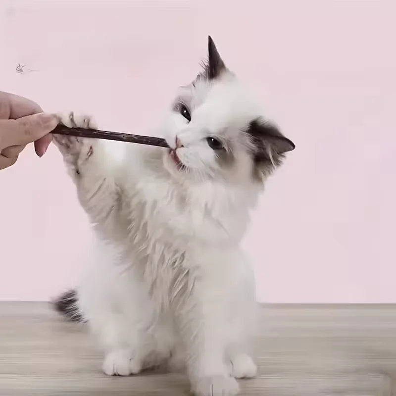 10Pcs/15Pcs/20Pcs Cat-Snack Polygonum Natural Polygonum Stick Molar Stick Thin Rod Polygonum Pet Supple