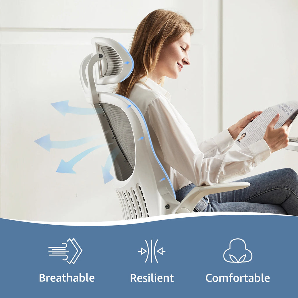 Mesh Ergonomic Office Chair With Lumbar Support