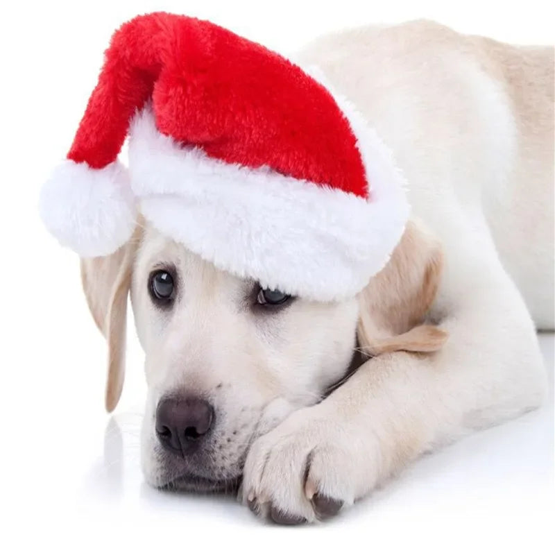 Frienda Dog Santa Hat  Christmas Hat Soft Plush Cat Hat Pet Costumes for Small Dog Cat for Pet Party Puppy Christmas Supplies