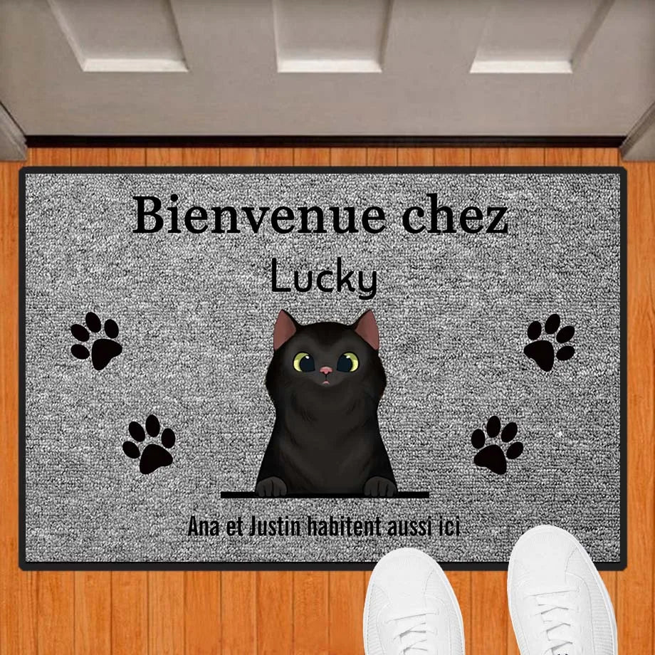 Bienvenue Chez Pet Home Doormat Personalized Dog Cat Mat Rug Hallway Doorway Floor Mats Carpet Home Decor Accessory