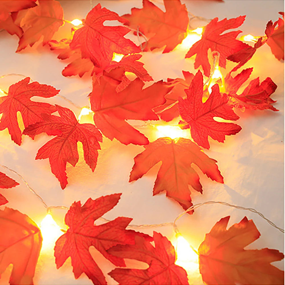 2/3/6M Halloween LED Lights String