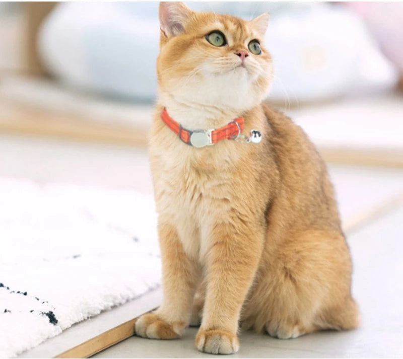 Personalized Cat Collar Pet ID Tag Name Custom Free Engraved ID Nameplate Kitten Puppy Anti-lost Nametag Safety Buckle Necklace