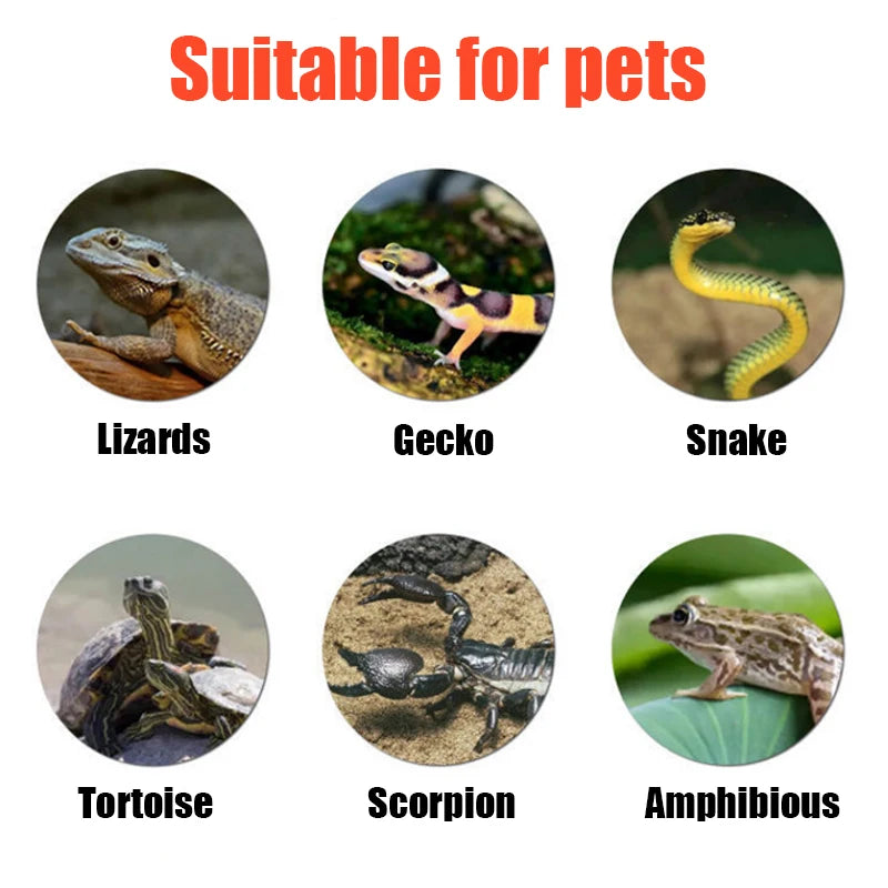 Reptile Heating Pad Spider Scorpion Palace Guarding Pet Snake Lizard