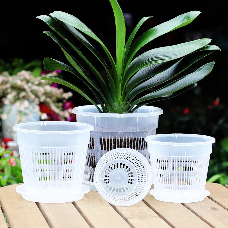 Transparent Root Control Pot Orchid Moss Phalaenopsis Flower Pot Plastic Breathable Hollow Flower Pot for Household
