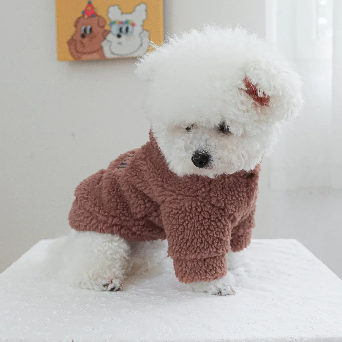 Autumn and Winter Pet Lamb Fleece Hooded Jacket Puppy and Cat Clothes New Models Thick and Warm Letter Hoodie Pet Clothes