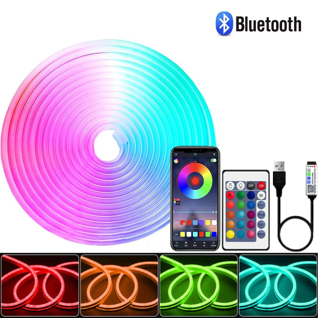5V USB RGB Neon LED Strip Light 1M 2M 3M 4M 5M LED Neon Strip With App and 44key Remote Control For Home Decor Lights