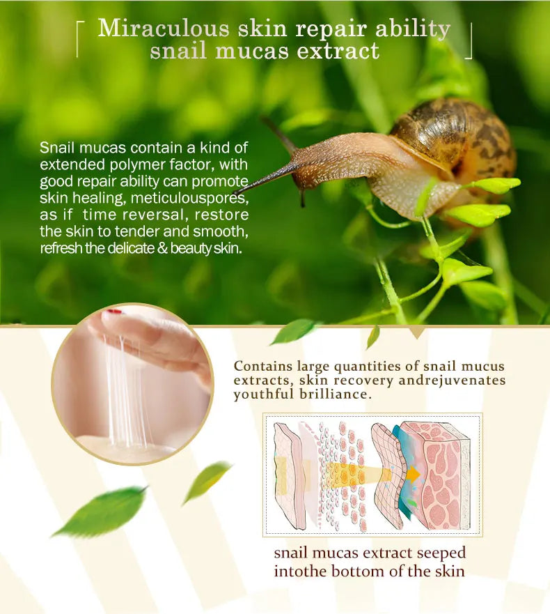 ARTISCARE Snail Repair Face Cream + Peptide Facial Cream 2Pcs for Moisturizing and Nourishing Skin Care