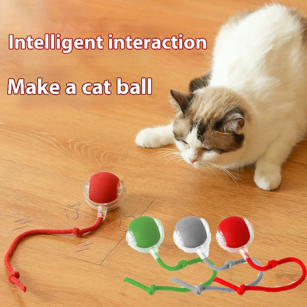 Interactive Dog Cat Toy Ball, Automatic Moving Bouncing Rolling, Pet Smart Chase Ball Rechargeable, Enrichment Toys