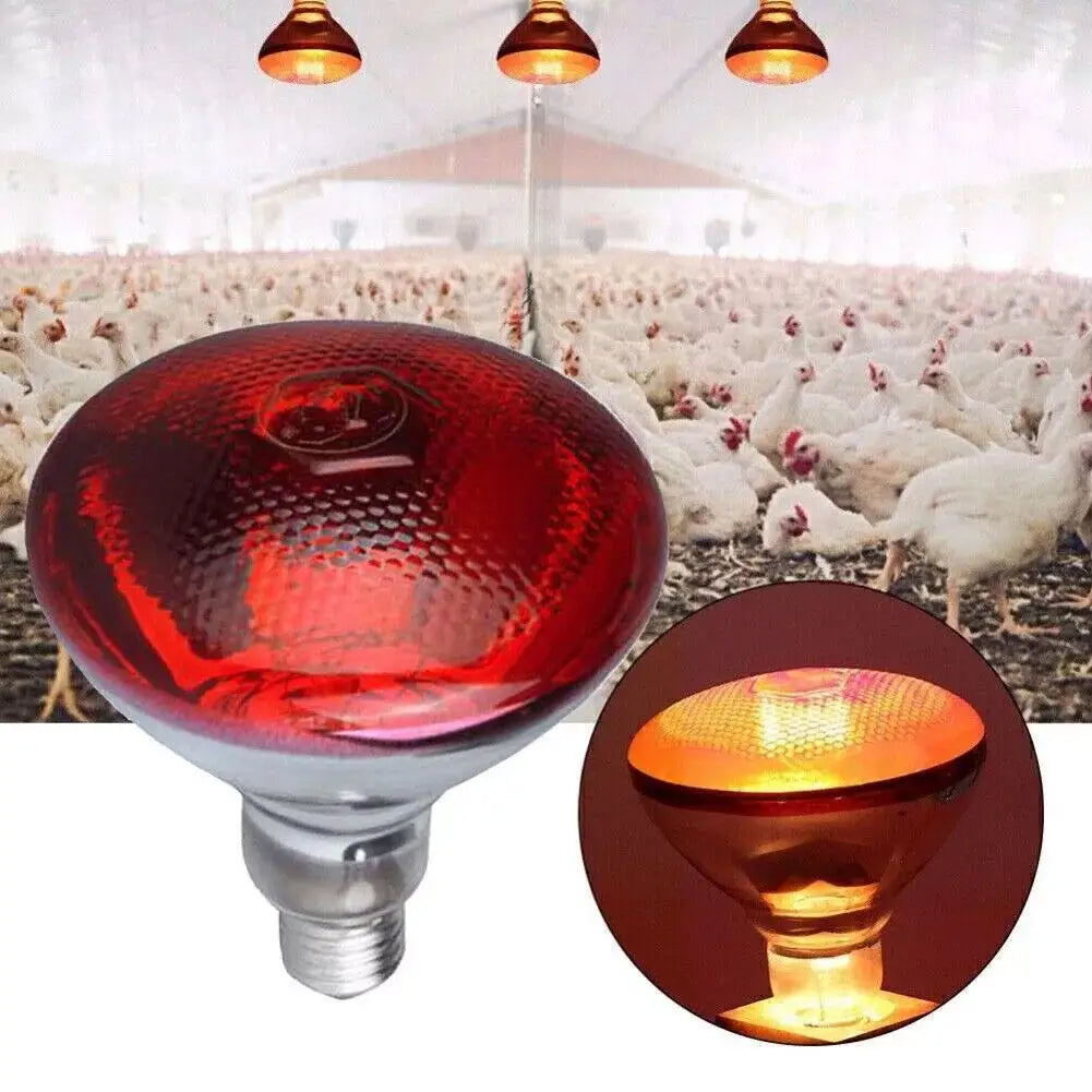 100w 150w 175w 200w 250w 275w Pet Red Heating Lamp for Chickens Coop Brooder And Reptile Heat Bulb Infrared Red Light Tool