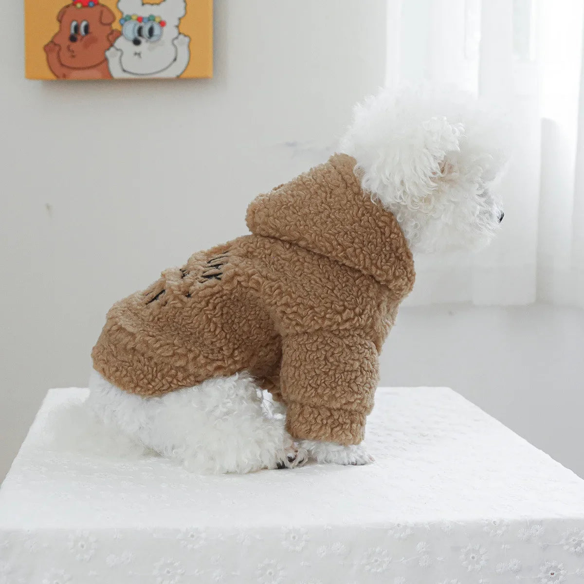 Autumn and Winter Pet Lamb Fleece Hooded Jacket Puppy and Cat Clothes New Models Thick and Warm Letter Hoodie Pet Clothes