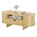 47.2in Oval Coffee Table with Storage Wood