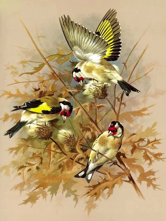 Huacan Diy Diamond Painting Animal Full Drill Embroidery Bird Home Decor Gift Rhinestone Pictures Craft Kit