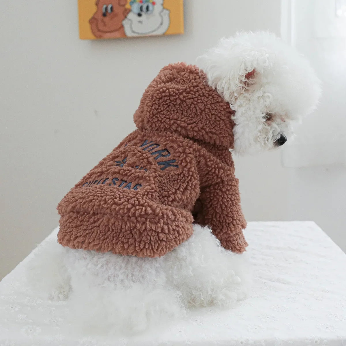 Autumn and Winter Pet Lamb Fleece Hooded Jacket Puppy and Cat Clothes New Models Thick and Warm Letter Hoodie Pet Clothes