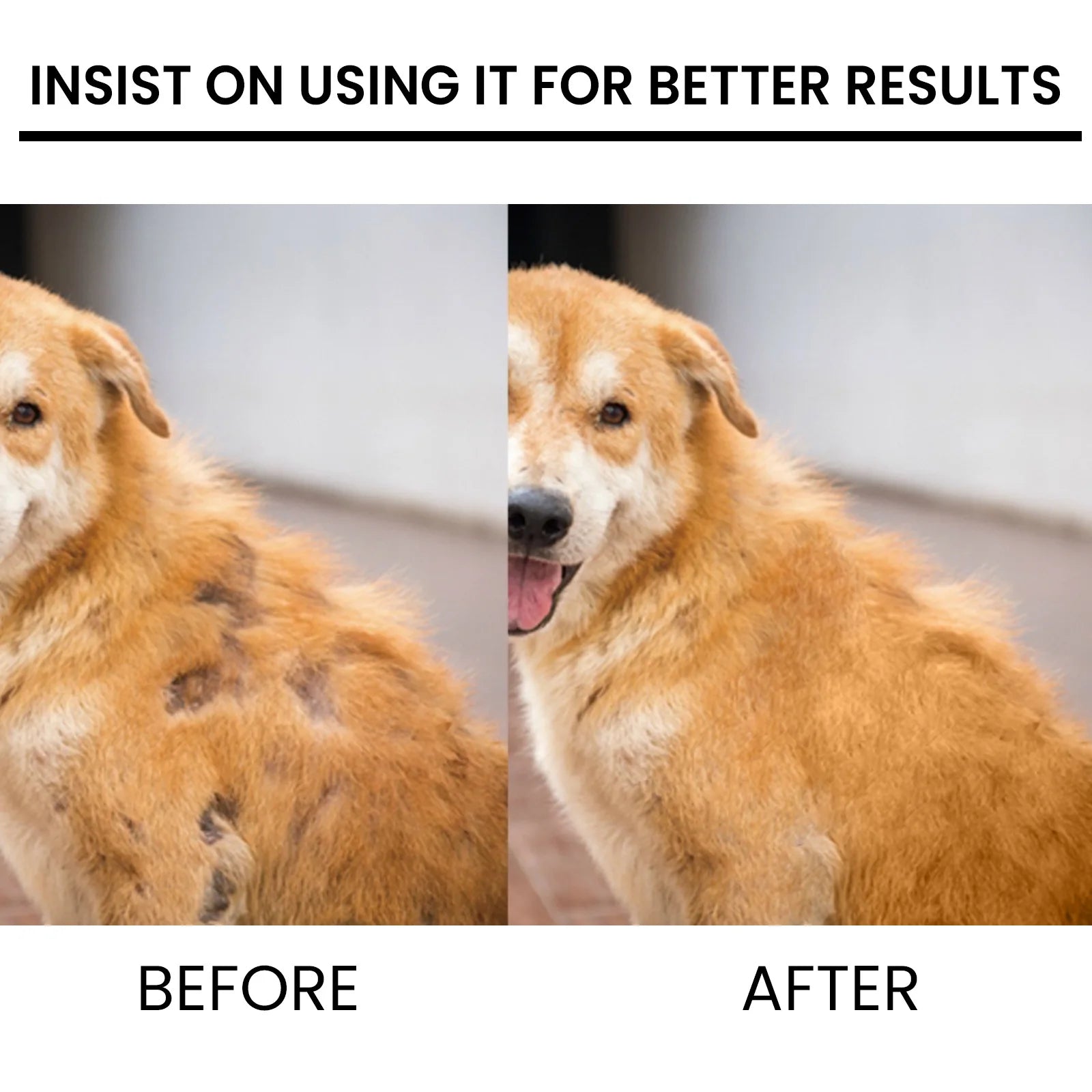 Pet hair enhancer cat and dog hair conditioning and repair damaged hair follicles hair loss care spray