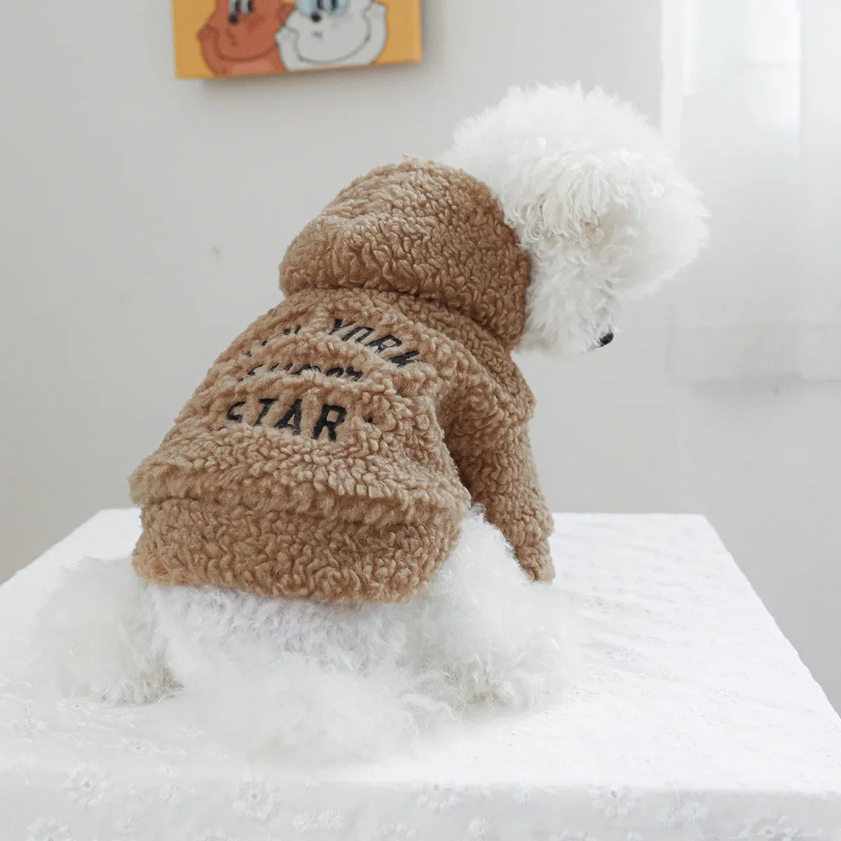 Autumn and Winter Pet Lamb Fleece Hooded Jacket Puppy and Cat Clothes New Models Thick and Warm Letter Hoodie Pet Clothes