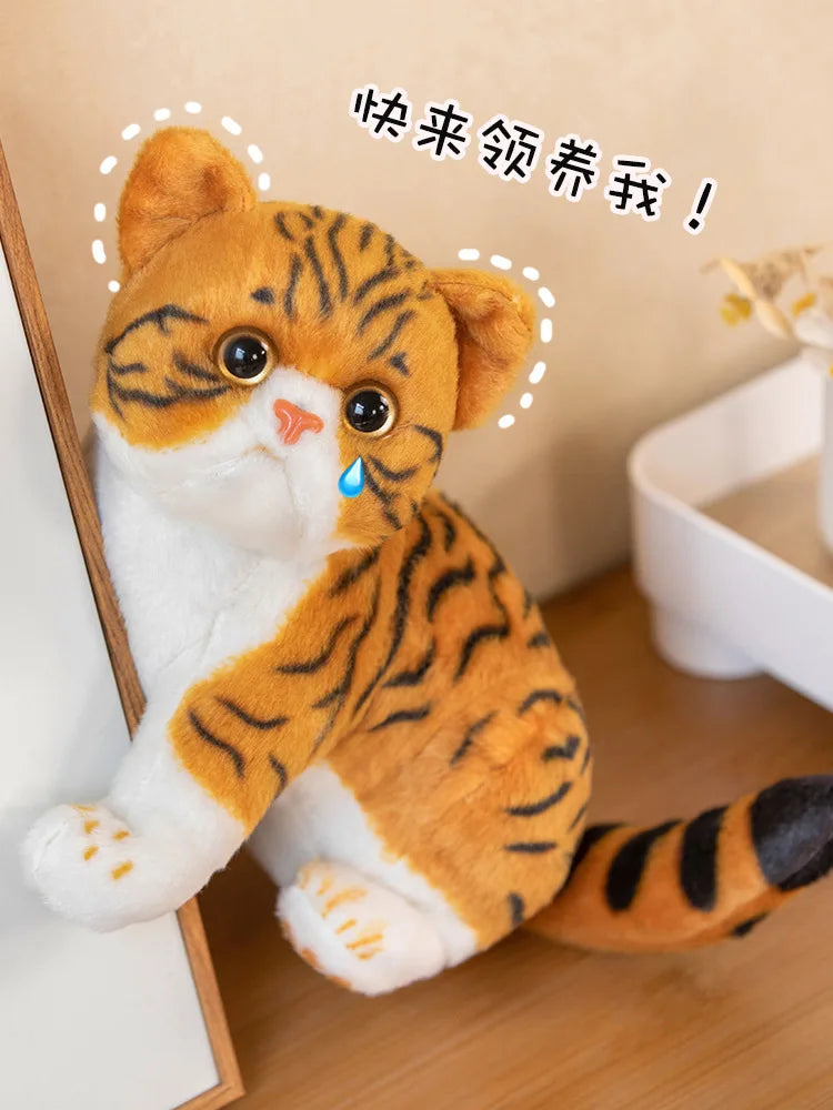 Super Likfelike Fat Face Cat Plushie Stuffed Apple Face Tiger Patterned Kitten Simulated Animals Home Decor Gift for Boy Kids