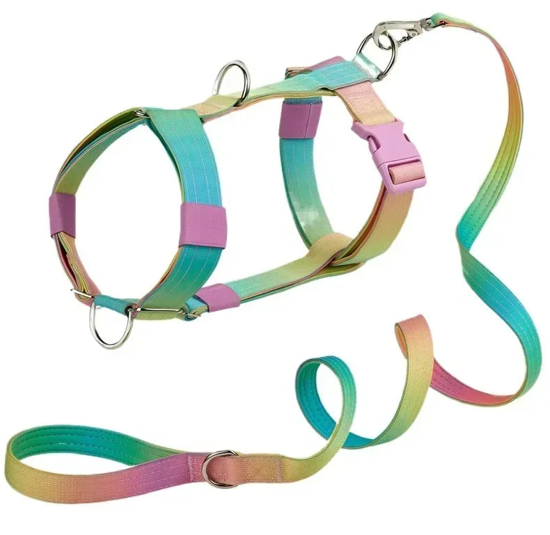 New 5mm Wide Pet Collar Gradual Change Color Traction Set Adjustable Nylon Dog Collar Supplies Medium and Large Dog Accessories