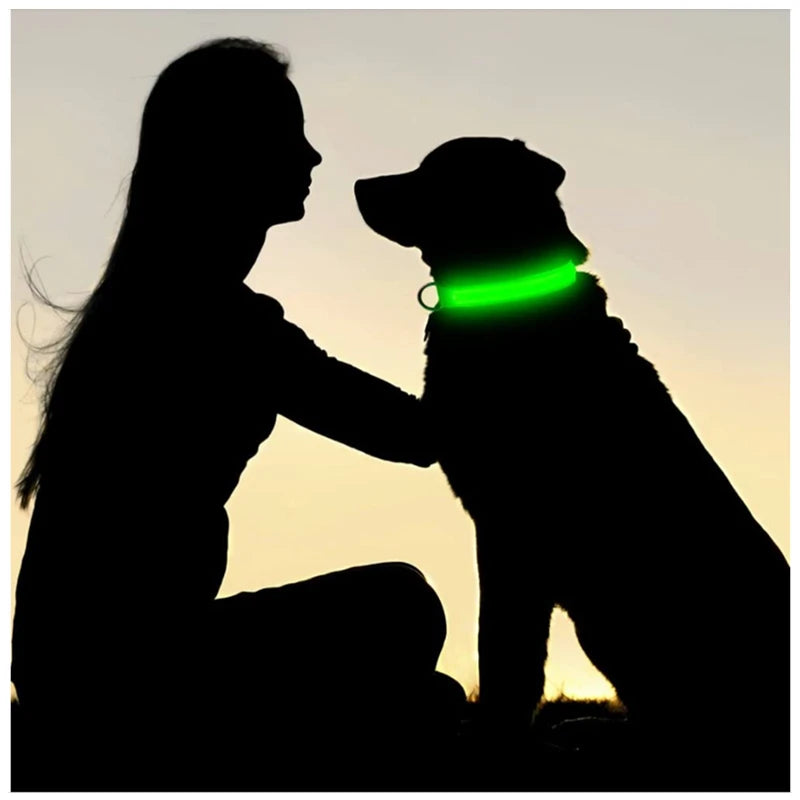 3 Modes Dog Luminous Charge Collar Led Usb Cat
