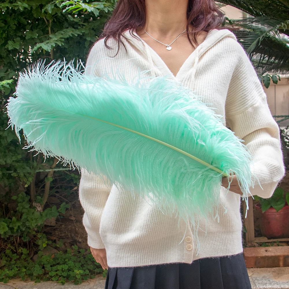 10PCS/Lot White Ostrich Feathers Plume for Wedding Table Centerpieces Carnival Prime Decor  45-50CM 55-60CM Ostrich Plumas Large