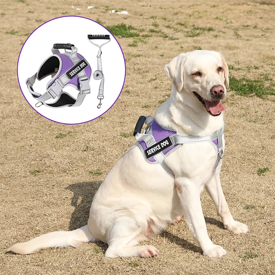 No-Pull Adjustable Dog Harness With Leash