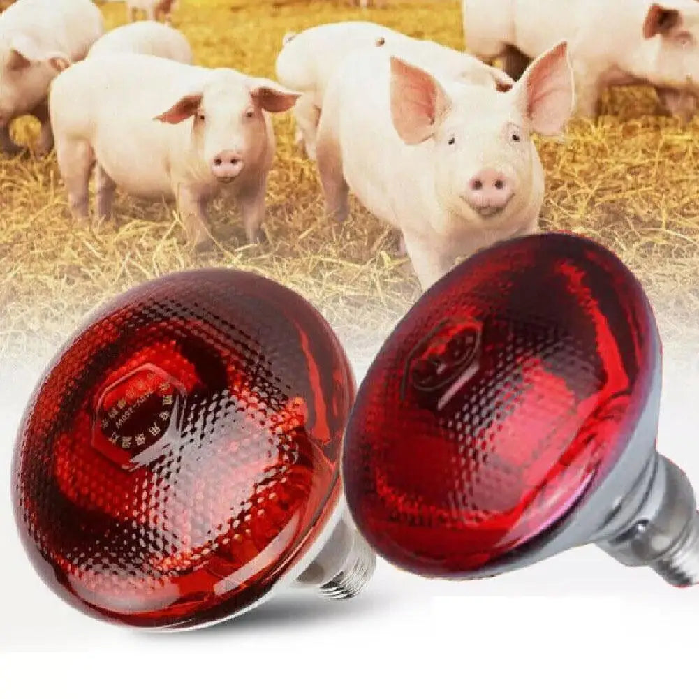 100w 150w 175w 200w 250w 275w Pet Red Heating Lamp for Chickens Coop Brooder And Reptile Heat Bulb Infrared Red Light Tool