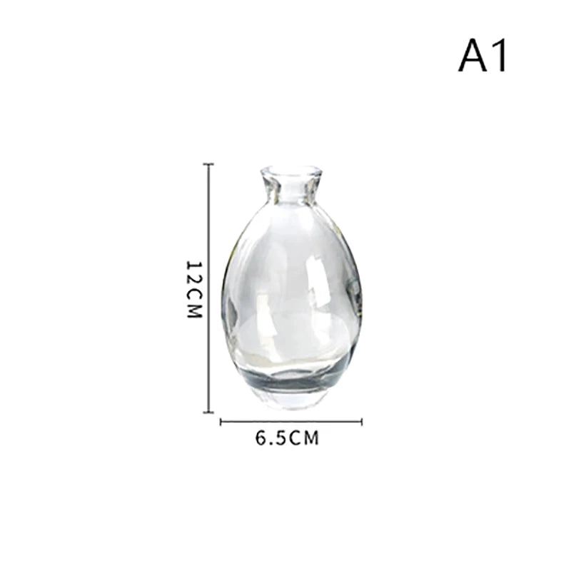 Transparent Glass Vase Avocado Seed Starters Vase Seed Growing Kit Avocado Vase For Growing Gift For Gardening Lovers Home Decor